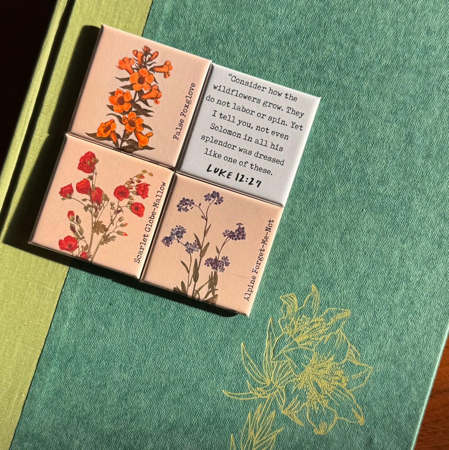 Forget-Me-Not Wildflower Magnet Collection