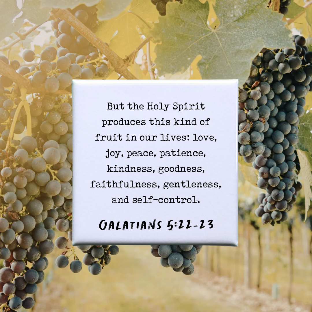Galatians 5:22-23 Verse Magnet
