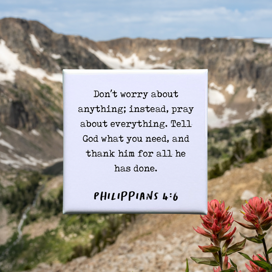 Philippians‬ ‭4:6 Verse Magnet